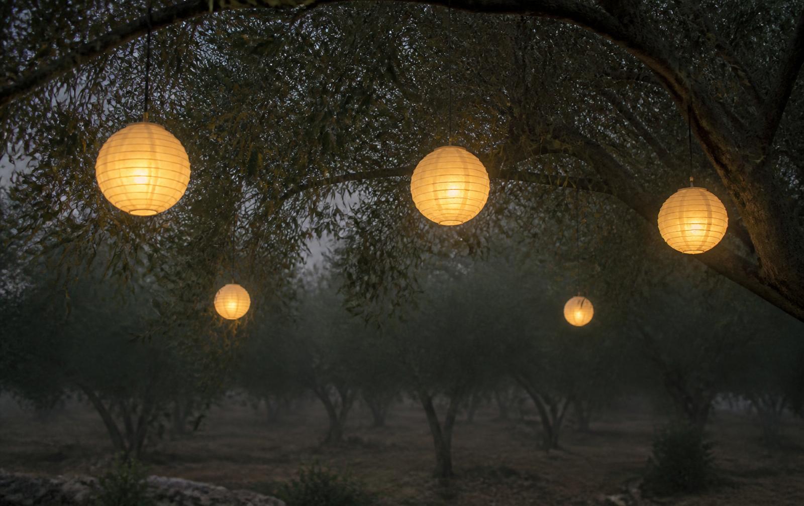 Paper lanterns glowing softly among olive branches at twilight